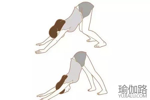 瑜伽动作14