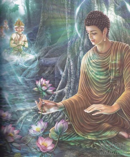 瑜伽大师4