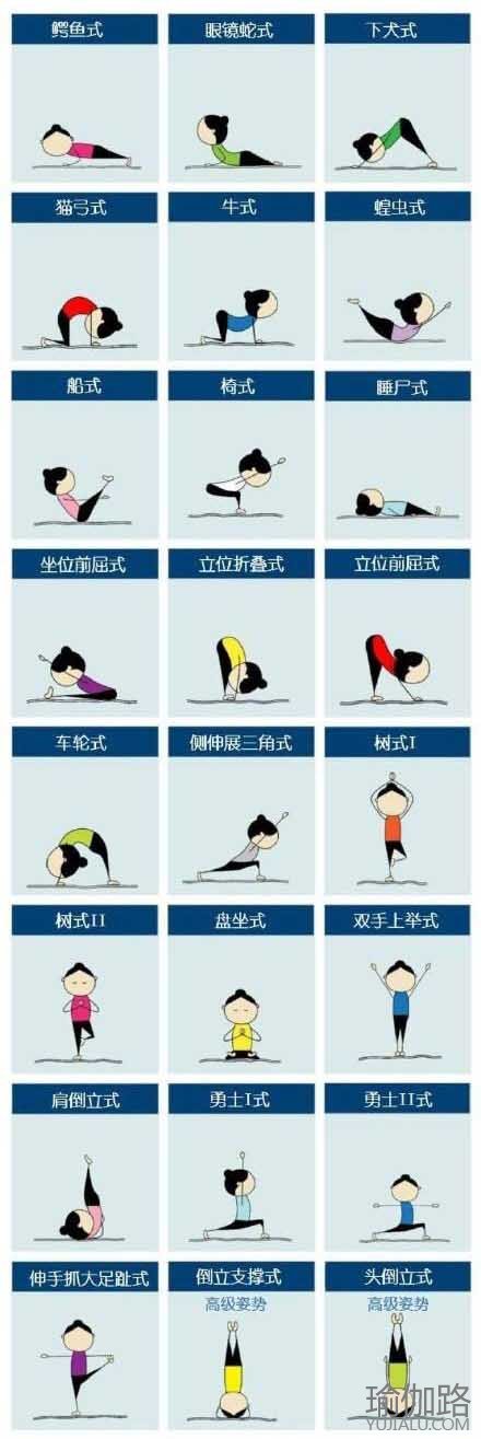 哈他瑜伽24个动作